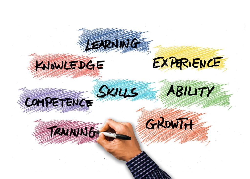 Skillset: learning, knowledge, experience, competence, training, ability, experience, growth